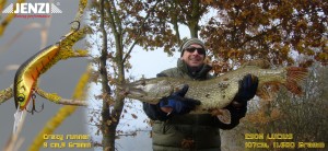 Crazy Runner-300x138 in 